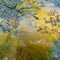 1 Yard Tie Dye Stretch Velvet Early Spring Foil Fabric 60 Inches Width